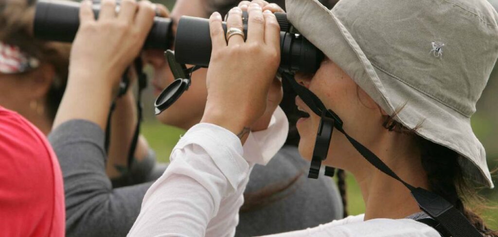 How to Clean Binoculars