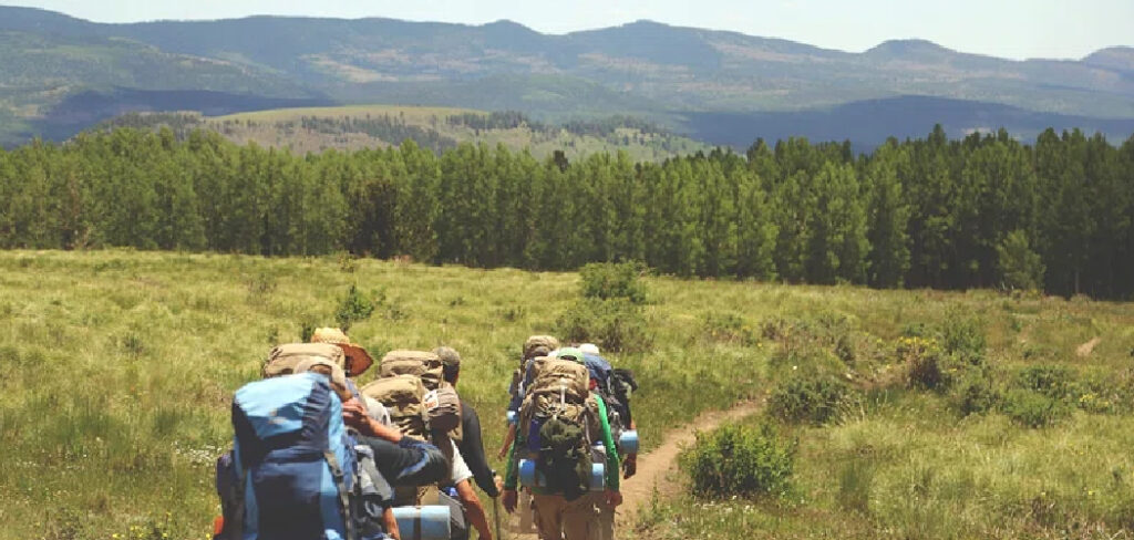 How to Avoid Ticks While Hiking