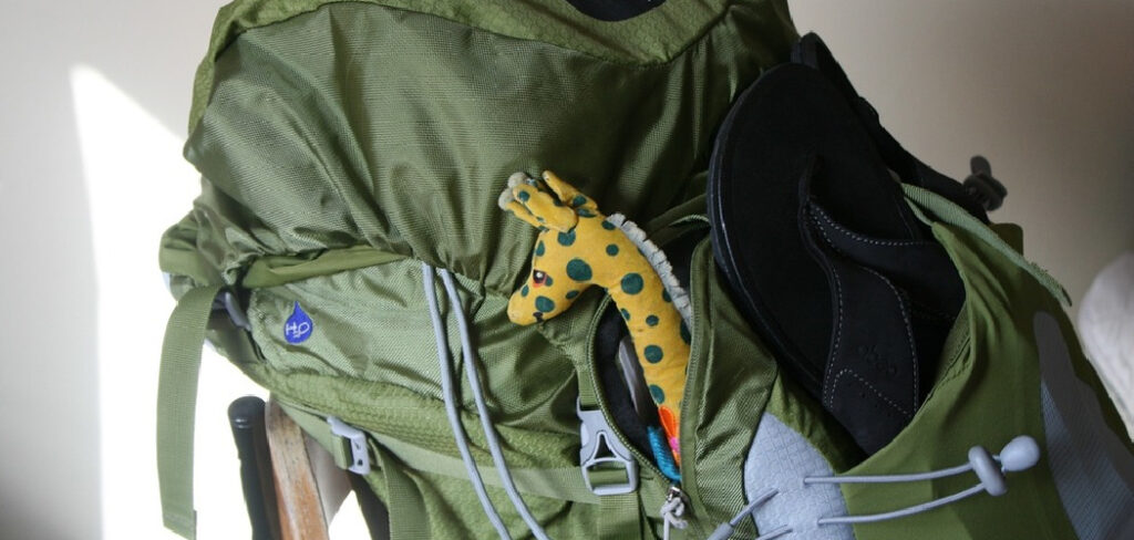 How to Craft Traveler's Backpack
