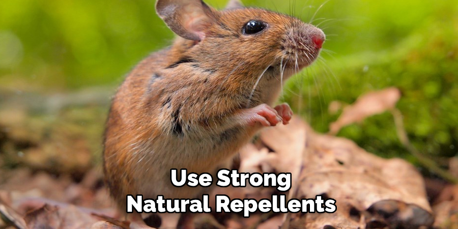Use Strong Natural Repellents