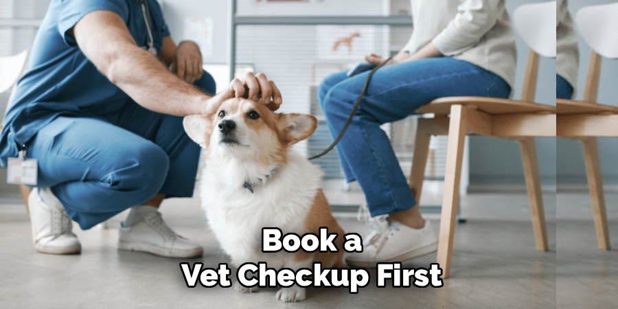 Book a Vet Checkup First