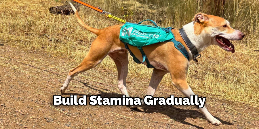 Build Stamina Gradually