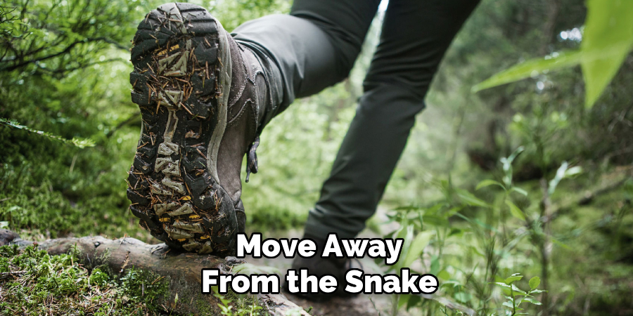 Move Away From the Snake