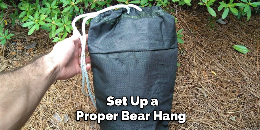  Set Up a Proper Bear Hang