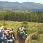 How to Avoid Ticks While Hiking